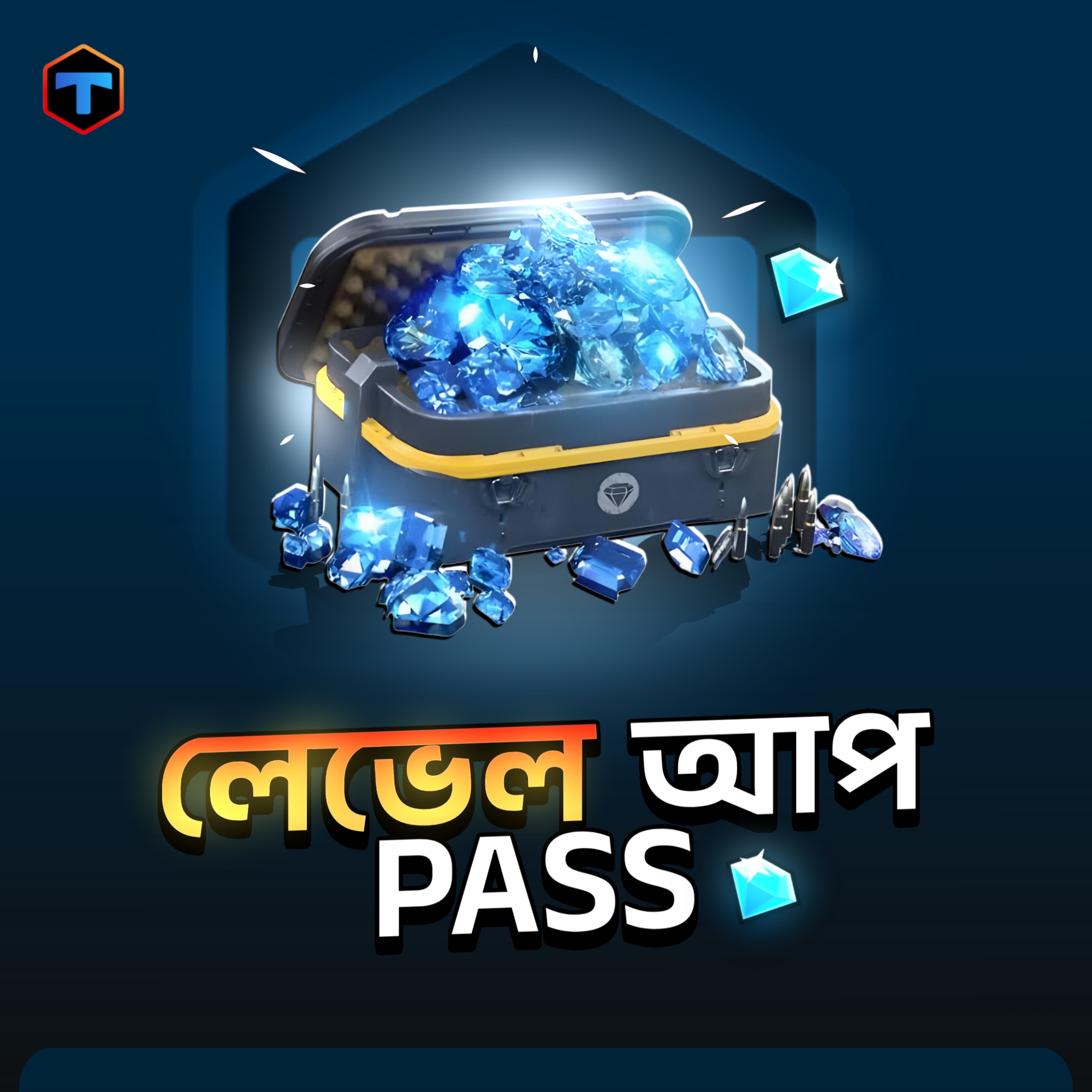 LEVEL UP PASS